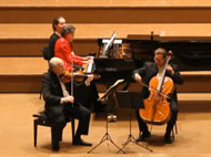 Vienna Brahms Trio